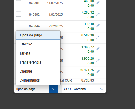 Combo tipos de pago